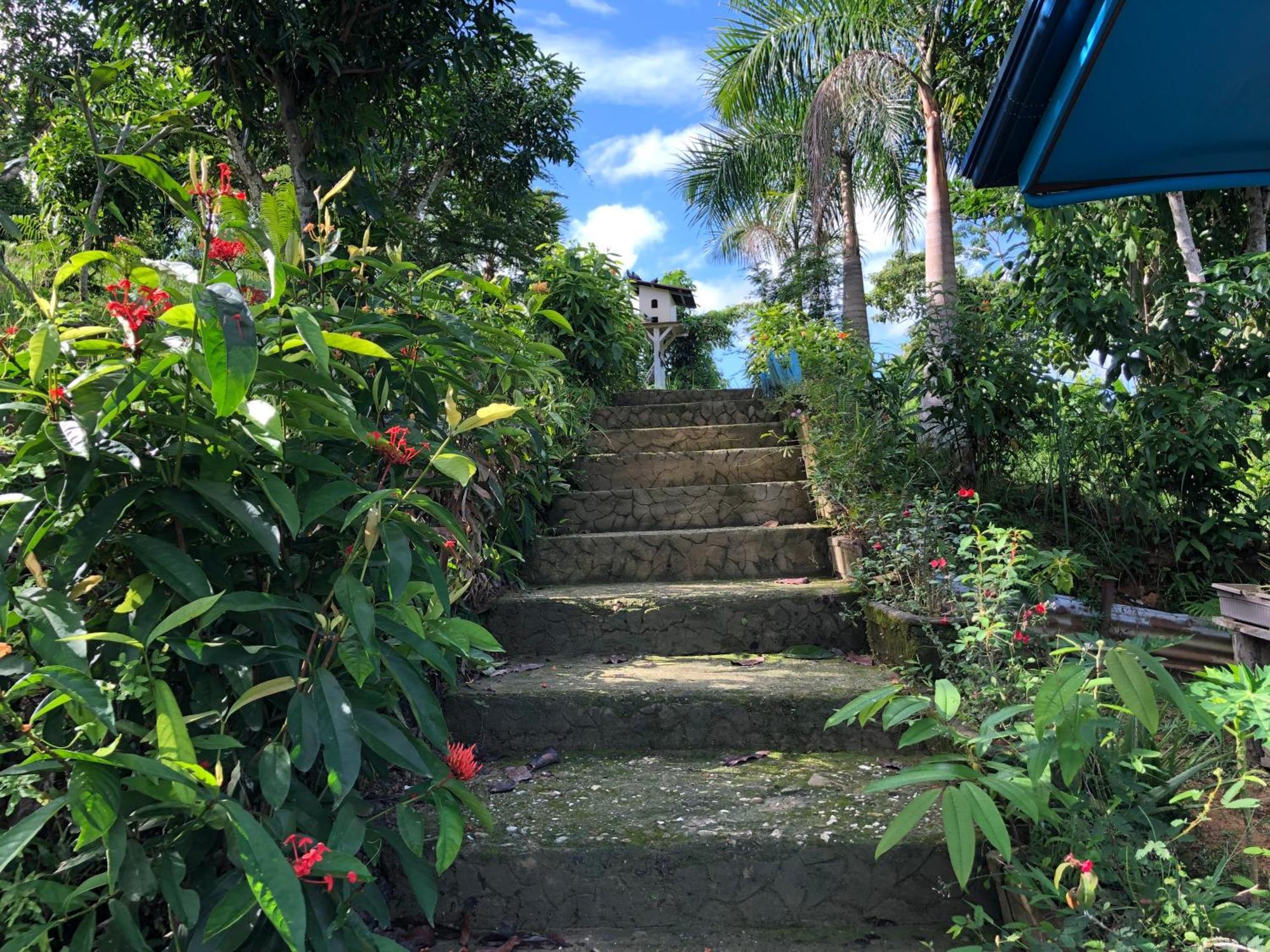 Santa Claus Hilltop San Vicente  Extérieur photo